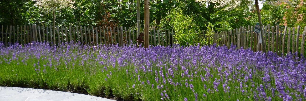 Tuinonderhoud zonder zorgen