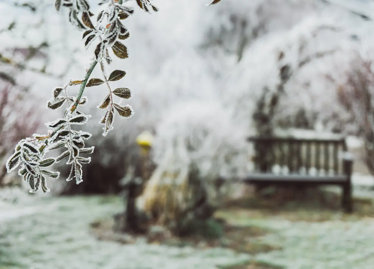 Winter Maintenance